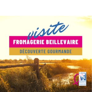 Visite fromagerie